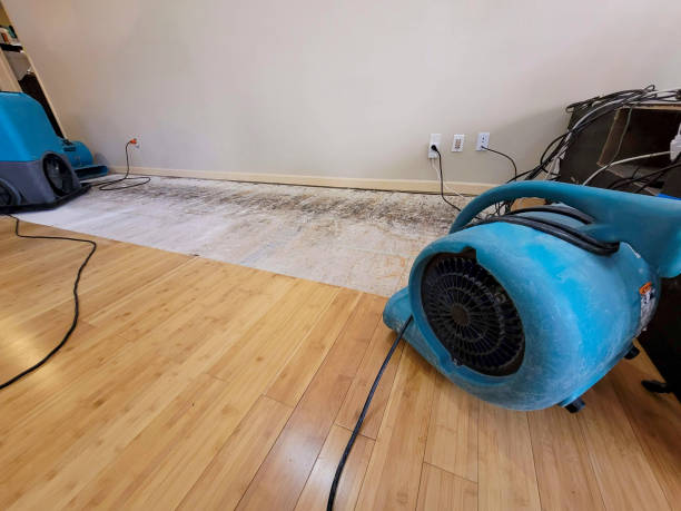 Reliable Basement Flood Cleanup contractor in Ashland, OR by Hirex Water Damage