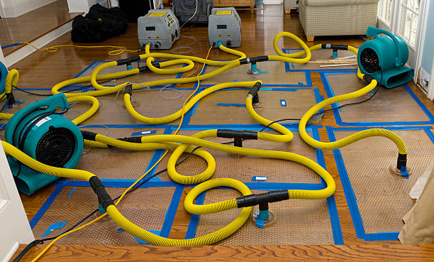 Professional Basement Flood Cleanup technician working in Ashland, OR